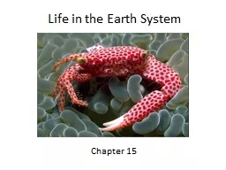 Life in the Earth System