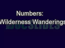Numbers:   Wilderness Wanderings