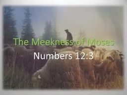 The Meekness of Moses Numbers 12:3