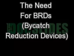 The Need For BRDs (Bycatch Reduction Devices)