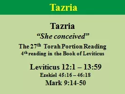 Tazria “She conceived”