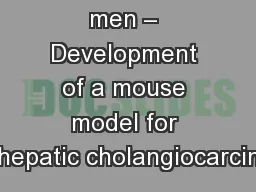 Of mice and men – Development of a mouse model for intrahepatic cholangiocarcinoma