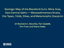 Geologic Map of the Blackbird Co-Cu Mine Area,