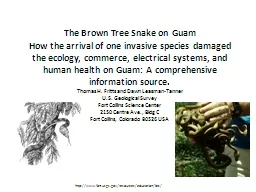 The Brown Tree Snake on Guam