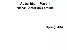 Asterids  – Part 1 “Basal”