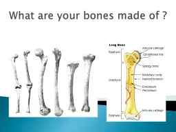 Inside a Bone Bones! Bones! Bones!
