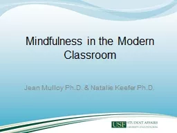 Mindfulness in the Modern Classroom