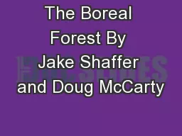 The Boreal Forest By Jake Shaffer and Doug McCarty