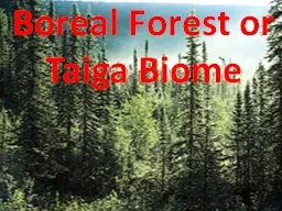 Boreal Forest or Taiga Biome
