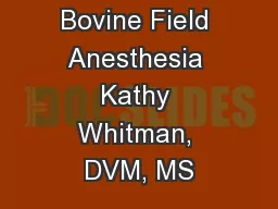 Bovine Field Anesthesia Kathy Whitman, DVM, MS