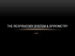 Lab 6 The Respiratory System & Spirometry