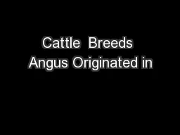 Cattle  Breeds Angus Originated in