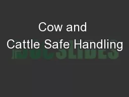 Cow and Cattle Safe Handling