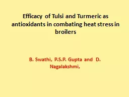Efficacy of  Tulsi  and Turmeric as antioxidants in combating heat stress in broilers