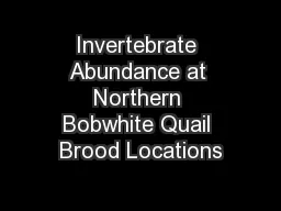 Invertebrate Abundance at Northern Bobwhite Quail Brood Locations