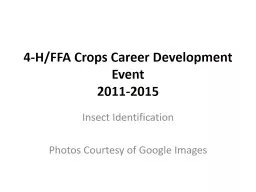 4-H/FFA Crops Career Development Event
