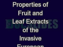 The Allelopathic Properties of Fruit and Leaf Extracts of the Invasive European Buckthorn