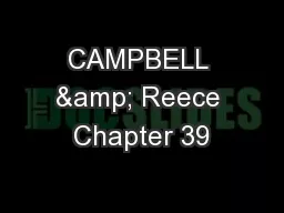 CAMPBELL & Reece Chapter 39