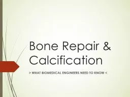 Bone Repair & Calcification