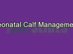 Neonatal Calf Management