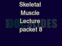 Skeletal Muscle Lecture packet 8