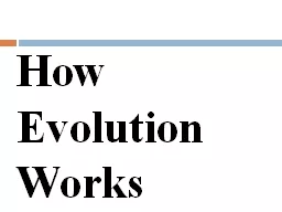 How Evolution Works Can Individuals evolve?
