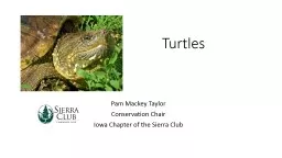 Policy on Iowa’s Turtle Harvest