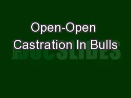 Open-Open Castration In Bulls