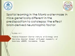Spatial learning in the Morris water maze in mice genetically different in the predisposition