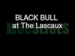 BLACK BULL at The Lascaux