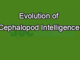 Evolution of Cephalopod Intelligence: