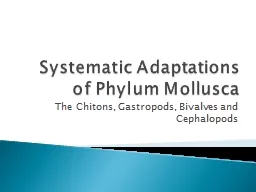 Systematic Adaptations of Phylum