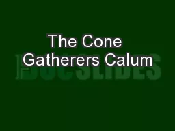 The Cone Gatherers Calum