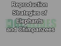 Reproduction Strategies of Elephants and Chimpanzees