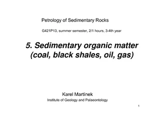 Sedimentary organic matter coal black shales oil gas