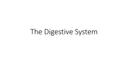 The Digestive System Purpose
