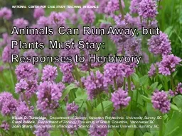 Animals  Can Run  Away, but