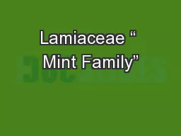 Lamiaceae “ Mint Family”