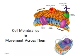 2006-2007 Cell Membranes