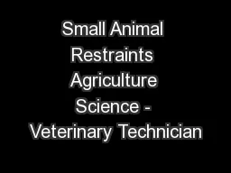 Small Animal Restraints Agriculture Science - Veterinary Technician