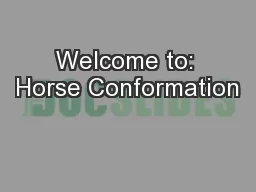 Welcome to: Horse Conformation