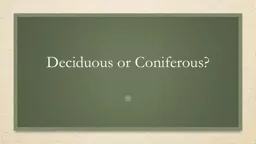 Deciduous or Coniferous?