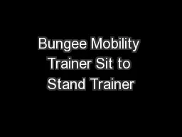 Bungee Mobility Trainer Sit to Stand Trainer