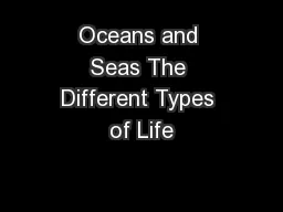 Oceans and Seas The Different Types of Life