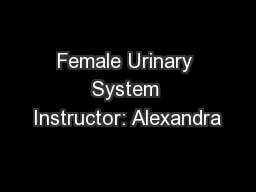 Female Urinary System Instructor: Alexandra