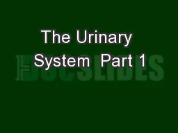 The Urinary System  Part 1