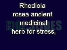 Rhodiola rosea ancient  medicinal herb for stress,
