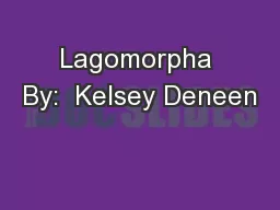 Lagomorpha By:  Kelsey Deneen
