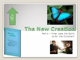 The New Creation Part 4 – What does the Spirit