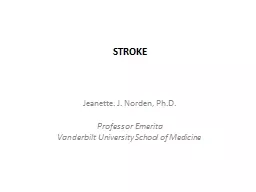 STROKE Jeanette. J. Norden, Ph.D.